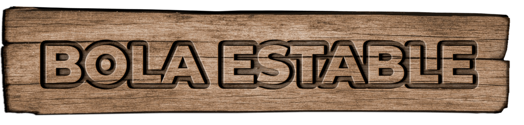 bola estable 1 BOLA ESTABLE 1024x245 1